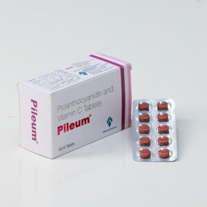 011A5040 PILEUM